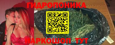 Альфа ПВП Кингисепп