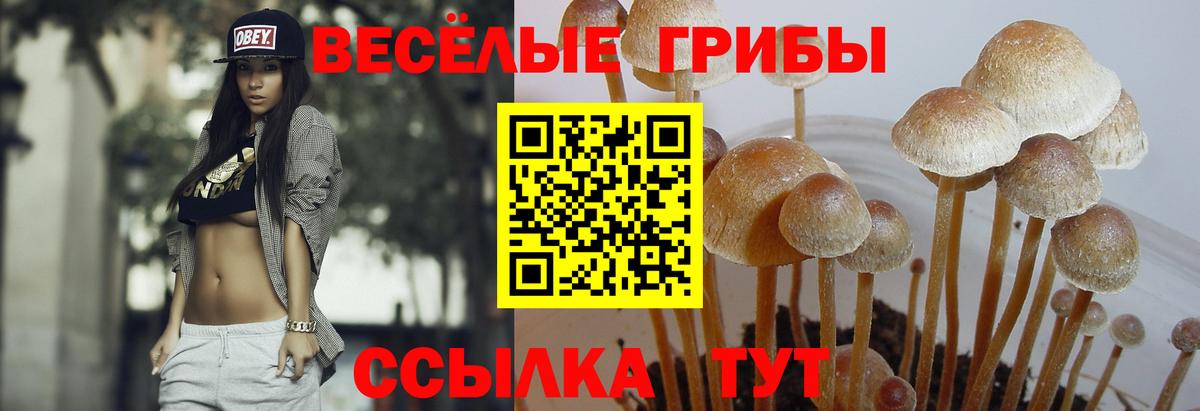 Галлюциногенные грибы мухоморы Южно-Сахалинск